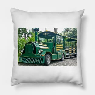 Slb deltrain Pillow