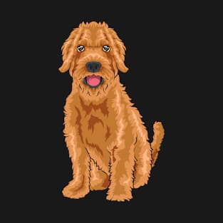 A super cute Labradoodle looks at you. T-Shirt