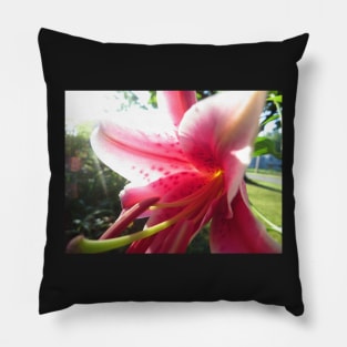 Stargazer Lily Photo Print Pillow