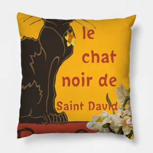 Le Chat Noir De Saint David Rodolphe Salis Pillow