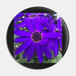 Radiant Purple Daisy Power Pin