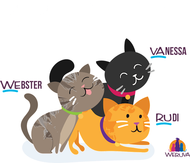 We Ru Va Rescue Kitties That Started It All Kids T-Shirt by NE Nostalgia