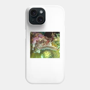 Coral Reef Bearded Fireworm - Caribbean Undersea Life Phone Case