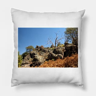 Dry Rocks Pillow