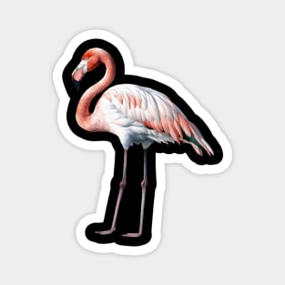 Flamingo Bird Animal Magnet