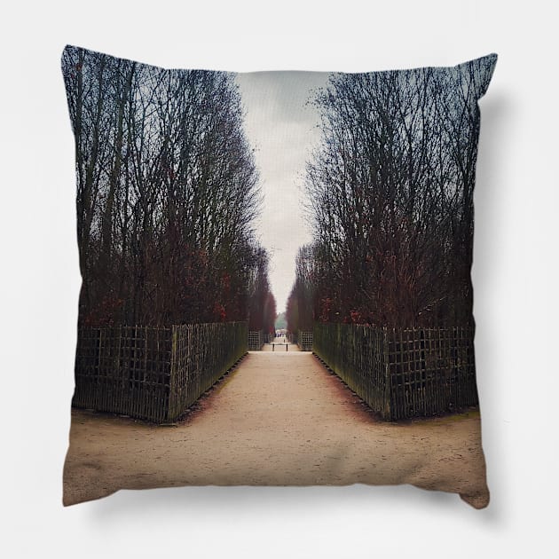 maze walkway Pillow by psychoshadow