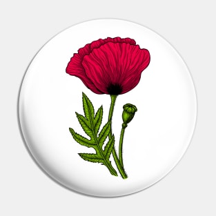 Red poppy 3 Pin