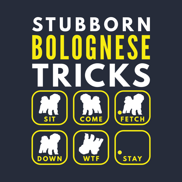 Stubborn Bolognese Tricks - Dog Training by DoggyStyles