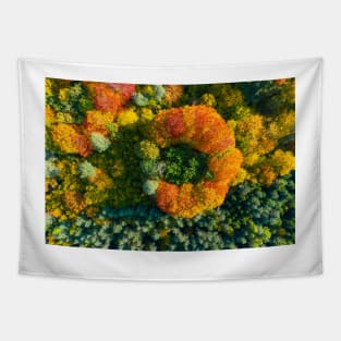 Aerial top down view of vibrant colorful autumn forest Tapestry