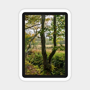 Autumn Tree Landscape Scene Magnet