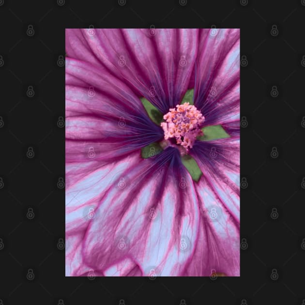 Ultraviolet Flower Purple Nature by 3vaN