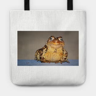 a personable toad Tote