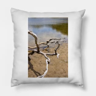 Driftwood Pillow