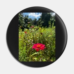 Field of Flowers Pin