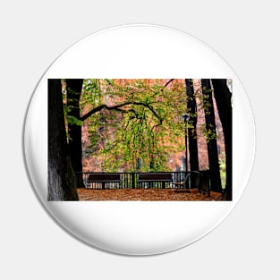 Autumn in the park Pin