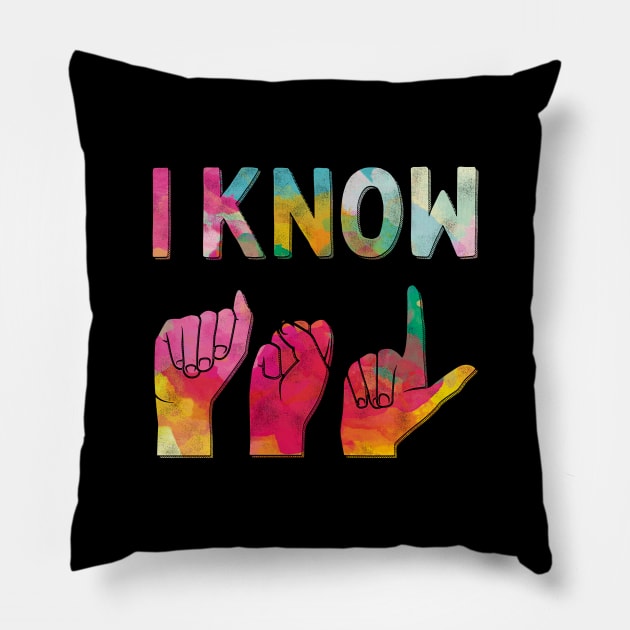 I Know American Sign Language ASL Pillow by Giggias