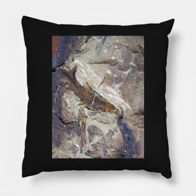 Fish Fossil - Photography by Avril Thomas - Adelaide / South Australia Artist Pillow by AvrilThomasart