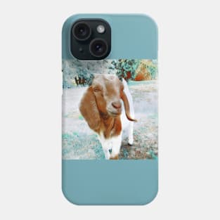 Goat-Boer-1Brm Phone Case
