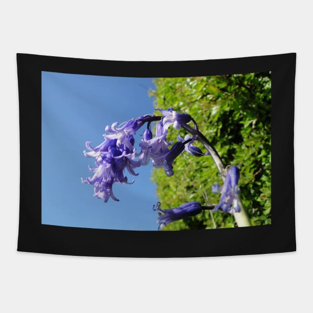 Look up - Blue Skies, Bluebells Tapestry by AH64D