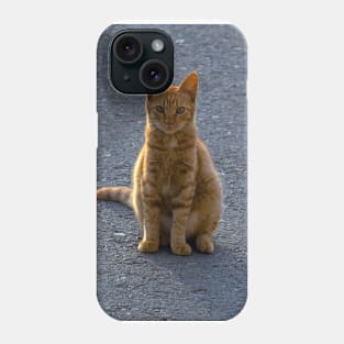 Sun-Kissed Feline: A Ginger Cat Enjoys the Outdoors Phone Case