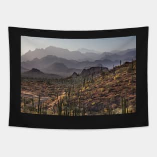 Baja Mountains Tapestry