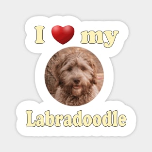 I Love My Labradoodle Magnet