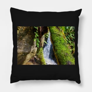 Beith Creek and Moss Pillow