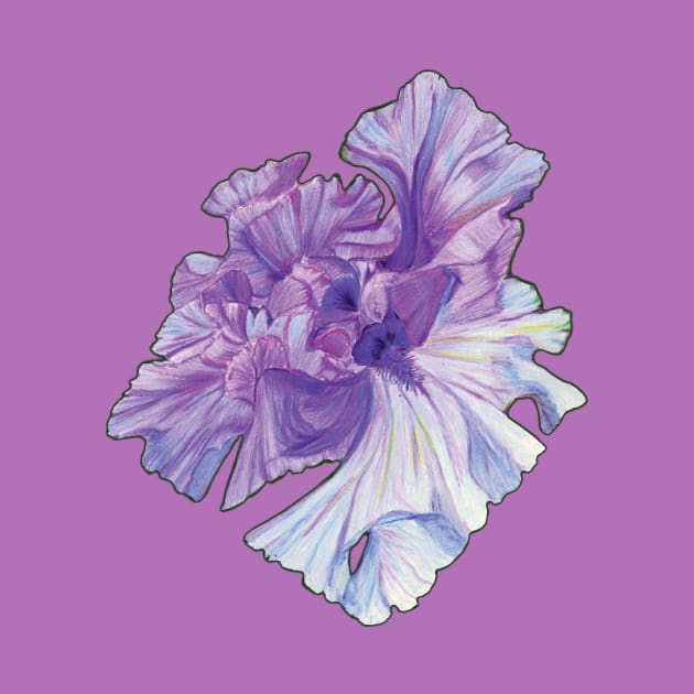 Iris by 3gaels