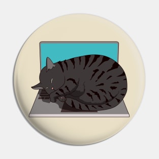 cat sleeping on laptop Pin