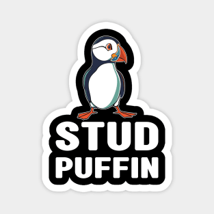 Stud Puffin Funny Seabird Iceland Puffin Bird Magnet