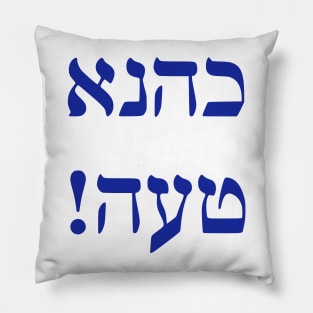 Kahane Was Wrong Pillow