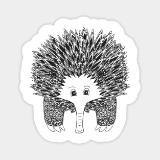 Echidna Magnet