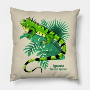 Iguana Pillow