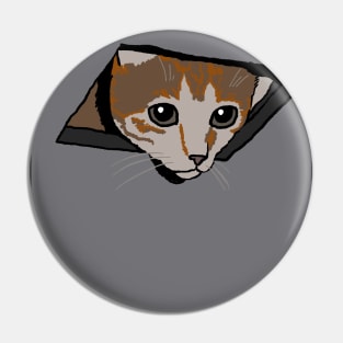 Ceiling Cat Meme Pin