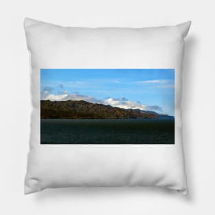 Channel Islands National Park Santa Cruz Island Pillow