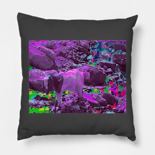 A glitch in the matrix Pillow