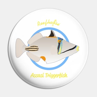 Assasi Triggerfish Pin