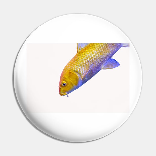 Golden yellow Ogon Koi carp fish Pin by lena-maximova