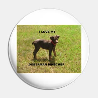 doberman pinscher red love with picture Pin