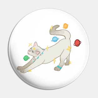 Celestial Cat Pin