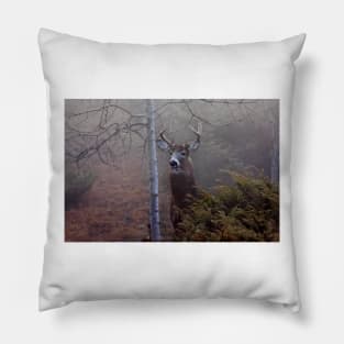 Big necked buck - White-tailed Deer Pillow