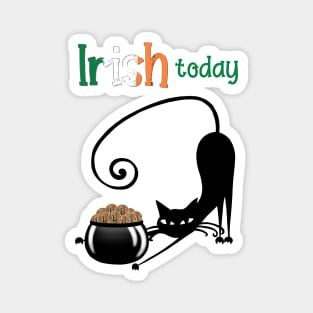 Irish today Magnet