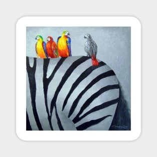 Parrots on zebra Magnet