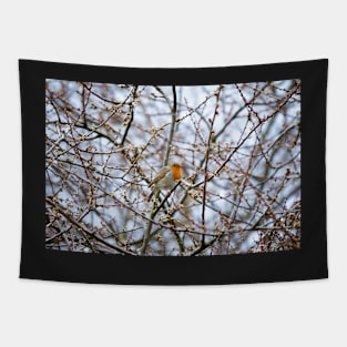 Robin Tapestry