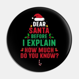 Dear Santa I Can Explain Funny Christmas Pajama Adults Kids Pin