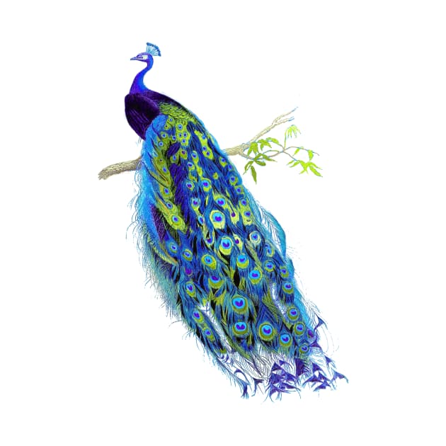 Vintage Peacock, Cobalt Blue+Green by PixDezines