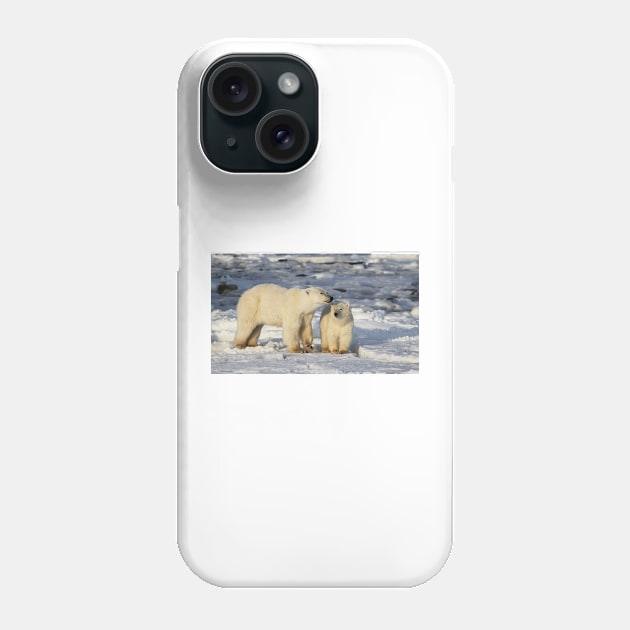 Polar Bear, Mother & Cub, Churchill, Canada Phone Case by Carole-Anne