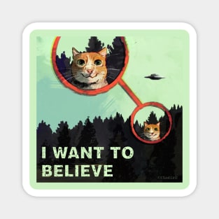 I Want 2 Believe Magnet