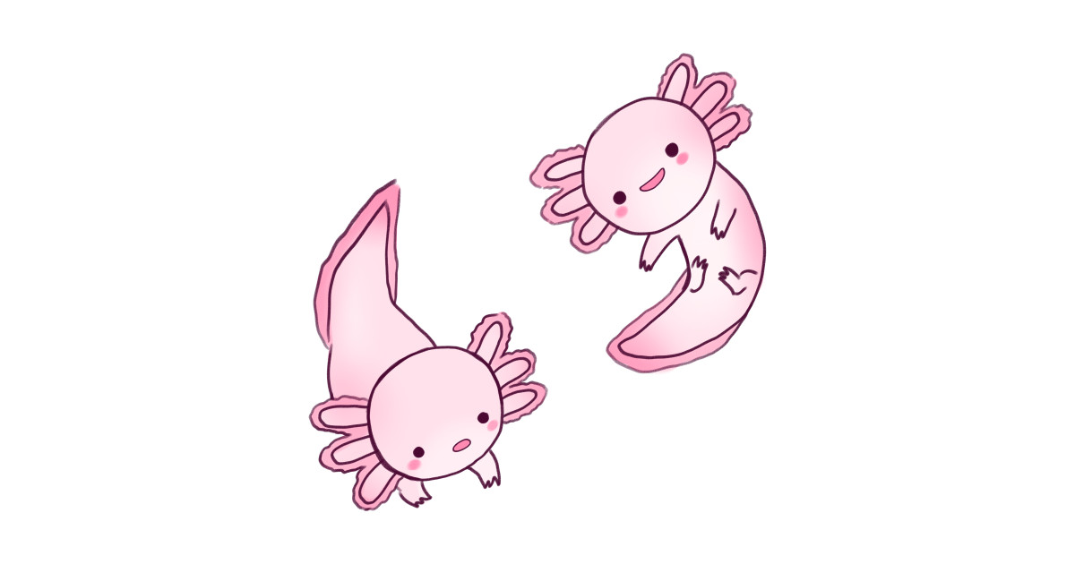 Pink cute axolotls - Axolotl - T-Shirt | TeePublic
