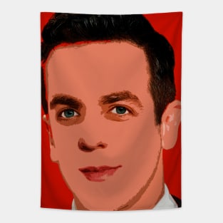 bj novak Tapestry